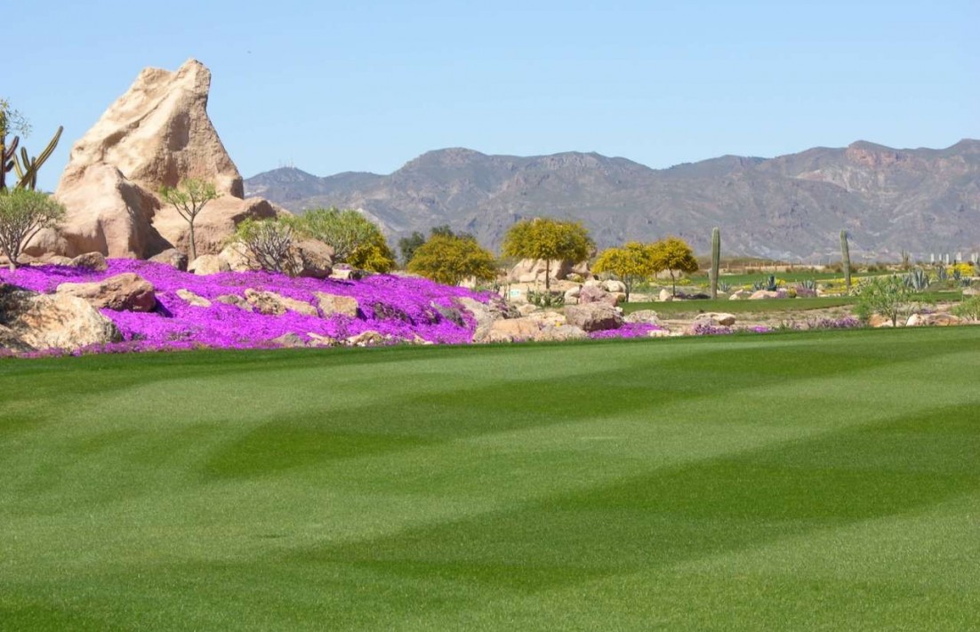 En construction - Villa - Cuevas del Almanzora - Villaricos