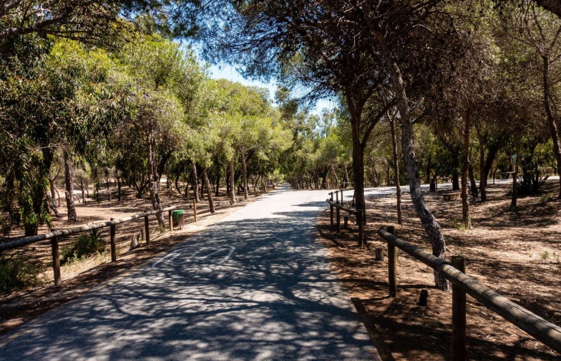 In aanbouw - Appartement - Guardamar del Segura