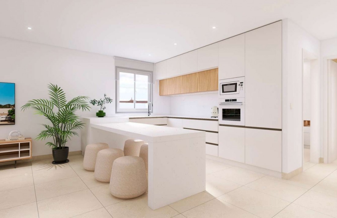 In Construction - Semi-Detached Villa - Bigastro