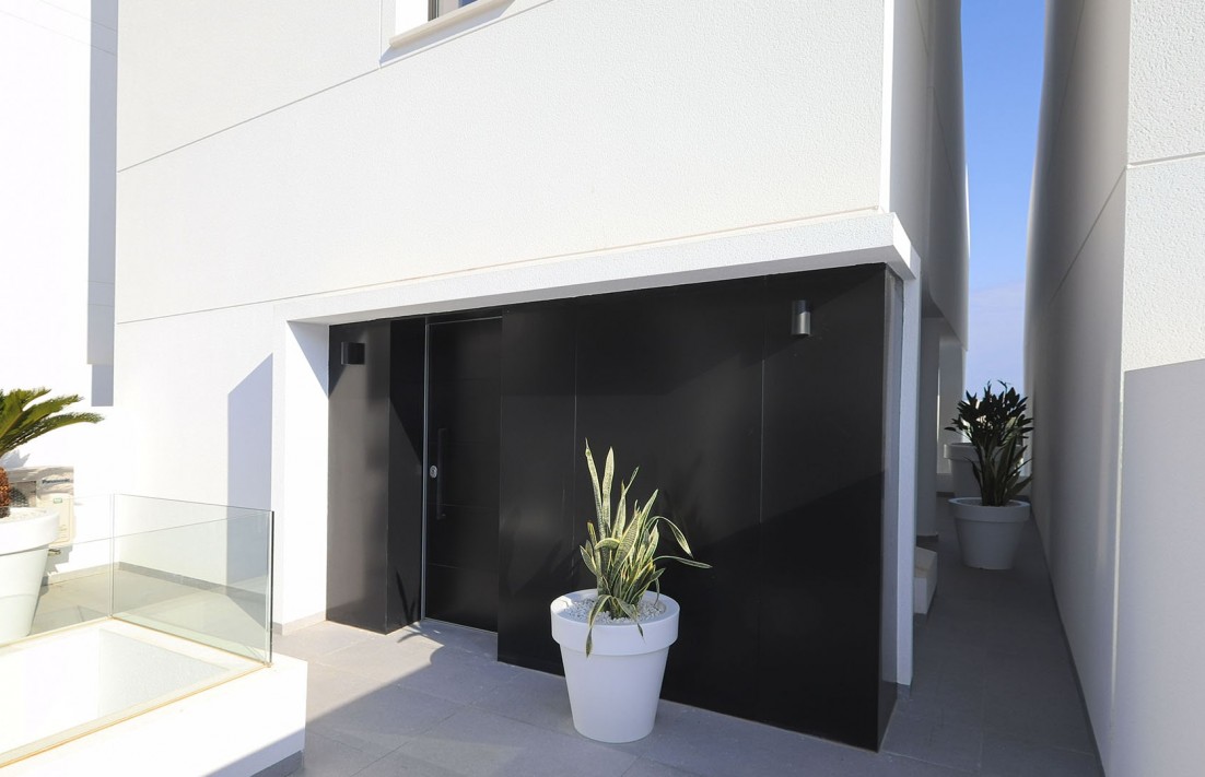 Nouvelle construction - Villa - Guardamar del Segura