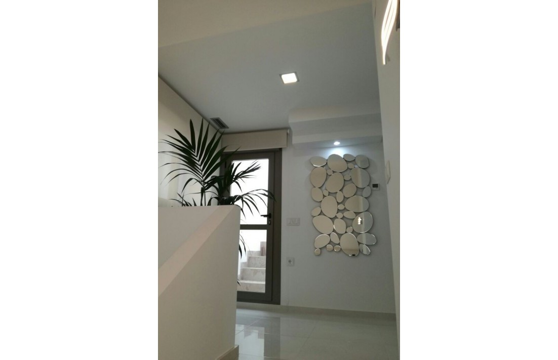 Nouvelle construction - Villa - San Miguel de Salinas