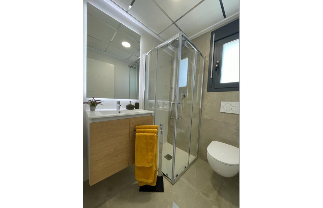 Nowa konstrukcja - Apartament - Pilar de la Horadada - 