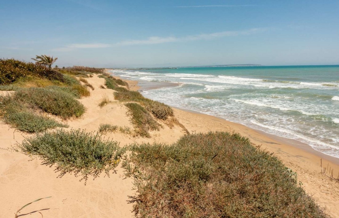 W budownictwie - Apartament - Guardamar del Segura - 